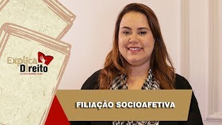 Explica Direito Filiação Socioafetiva  2019 [upl. by Notwal]