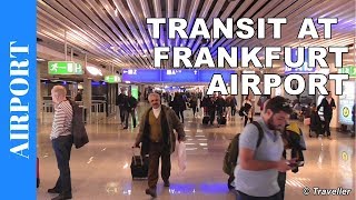 TRANSIT WALK AT FRANKFURT Airport FRA Terminal 1  Connection Flight Transfer Arriving amp Departing [upl. by Leidba863]